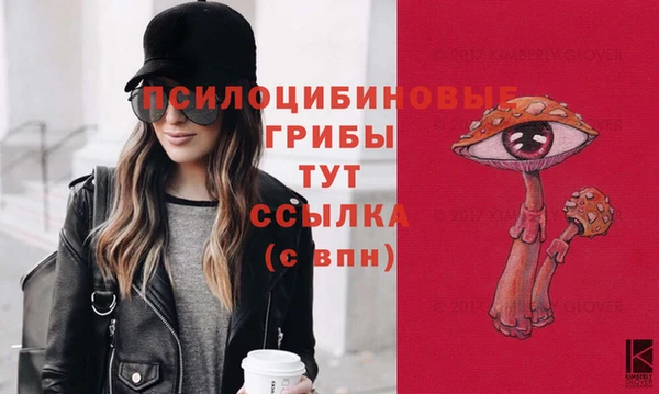 jwh Карпинск